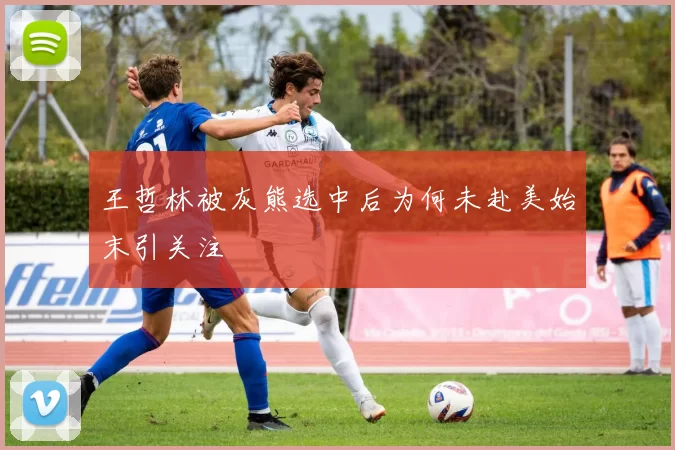 王哲林被灰熊选中后为何未赴美始末引关注