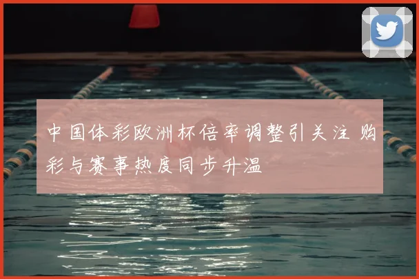 中国体彩欧洲杯倍率调整引关注 购彩与赛事热度同步升温