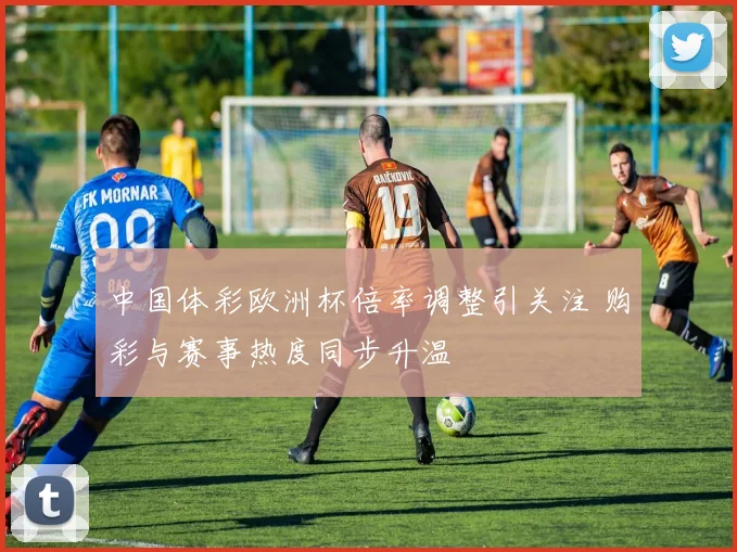 中国体彩欧洲杯倍率调整引关注 购彩与赛事热度同步升温
